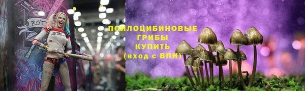 трава Нея