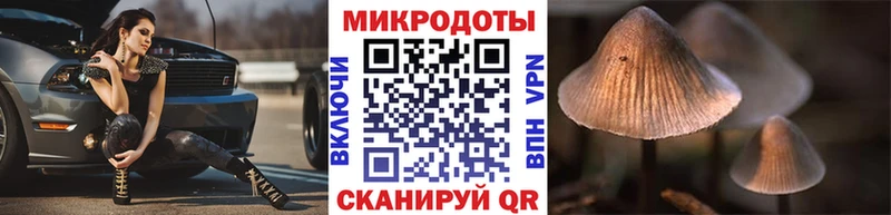 ОМГ ОМГ зеркало Усть-Катав Псилоцибиновые грибы GOLDEN TEACHER